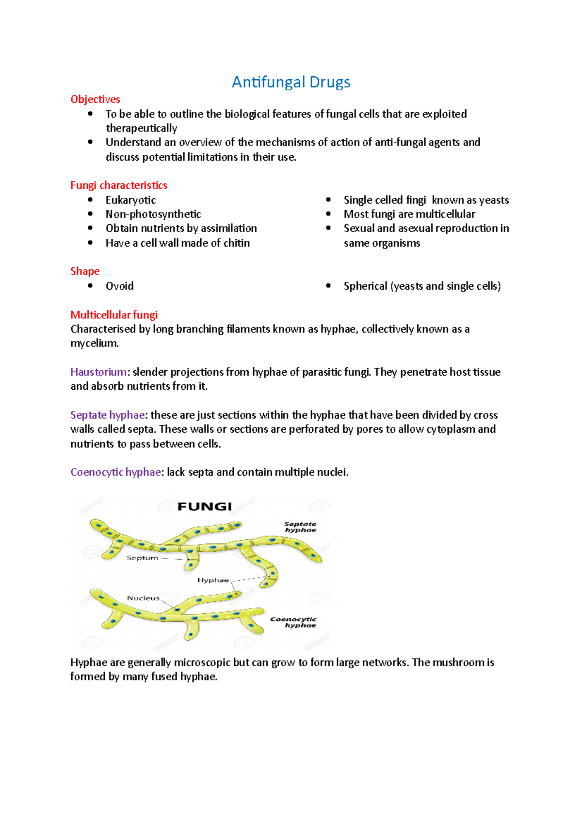17 Antifungal Drugs Lecture notes 17 Antifungal Drugs Objectives To