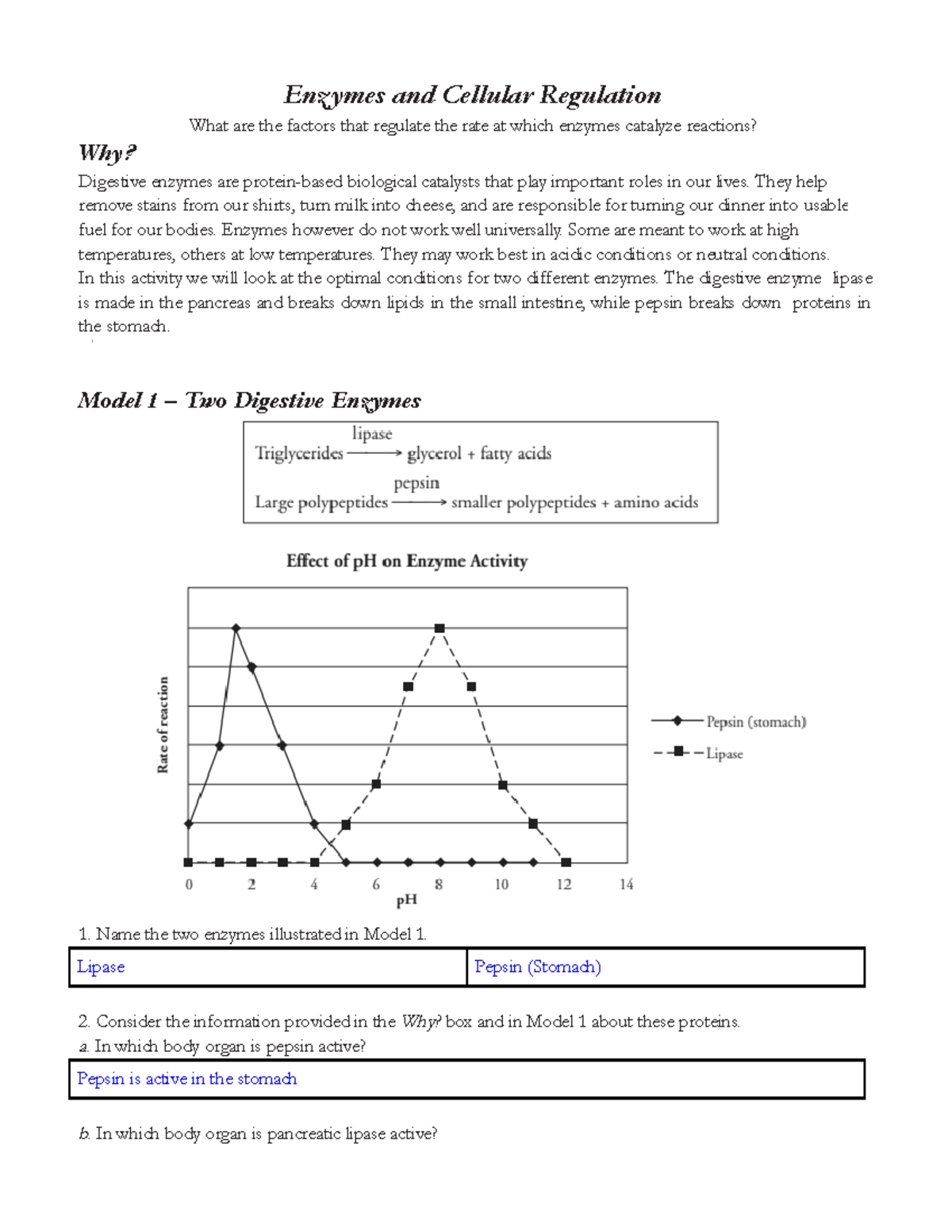 Enzymes And Cellular Regulation Answer Key Case Study-Enzymes and Cellular Regulation - Enzymes and Cellular