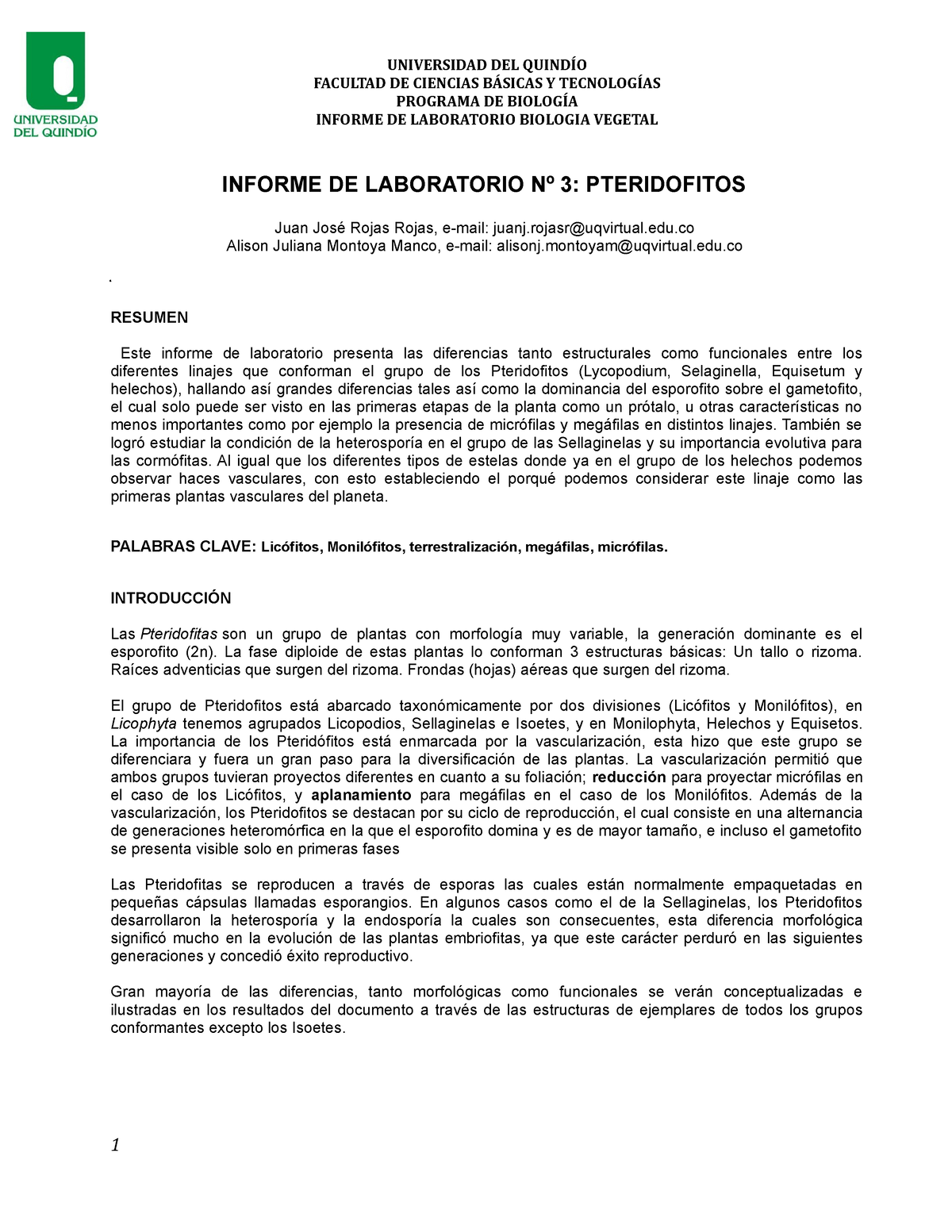 Informe 3 Pteridofitos Facultad De Ciencias BÁsicas Y TecnologÍas Programa De BiologÍa 9213