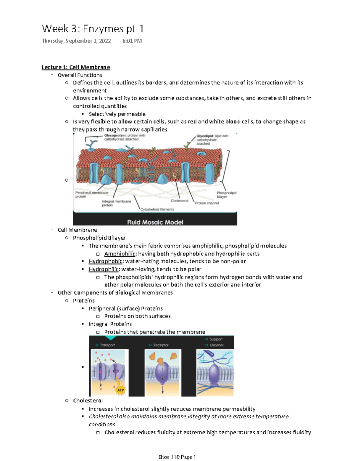 Bios 110 Week 3 Pt 1 - Bios 110 Cells And Organism Notes - Lecture 1 ...