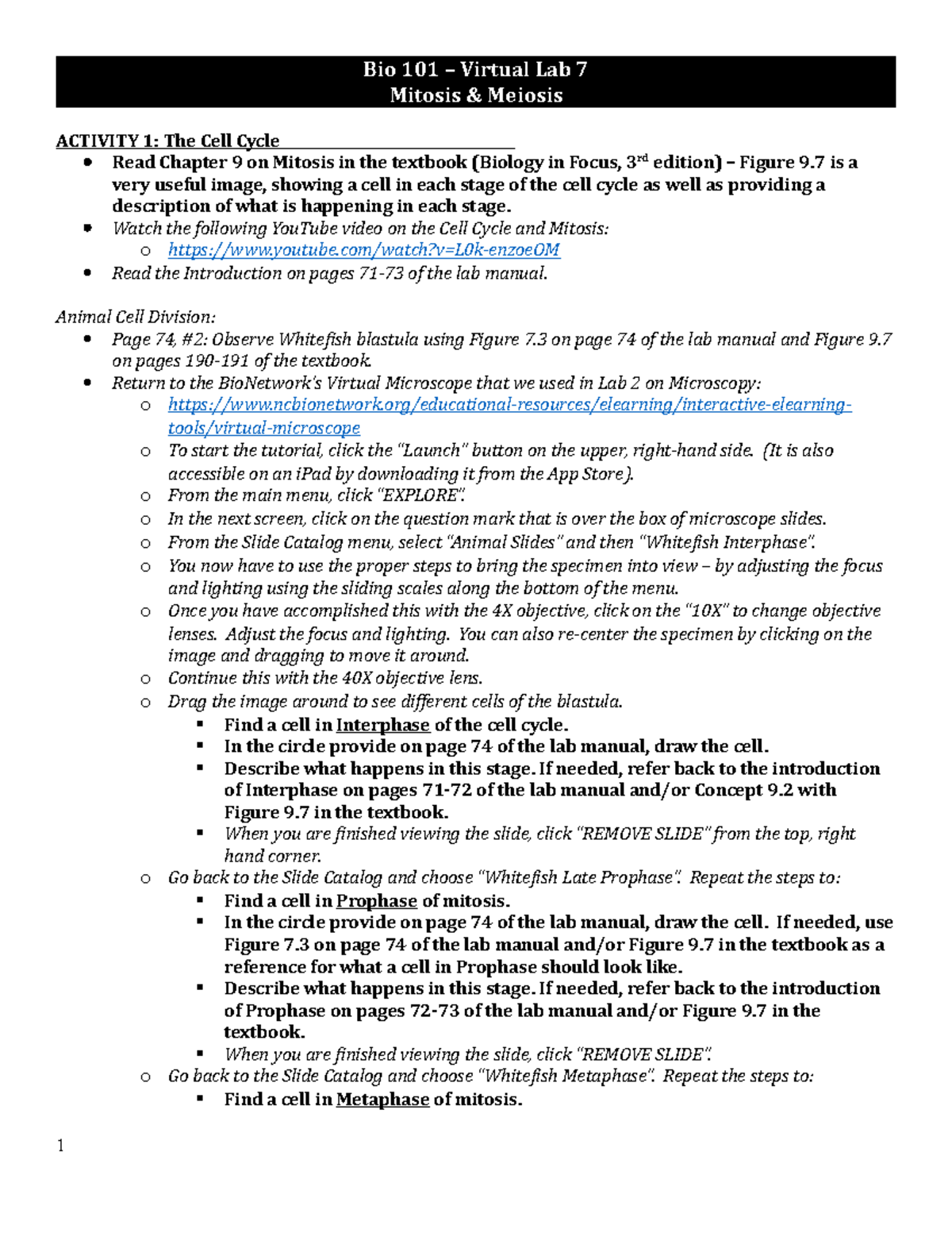 Bio 101 Virtual Lab 7 Mitosis Meiosis Studocu
