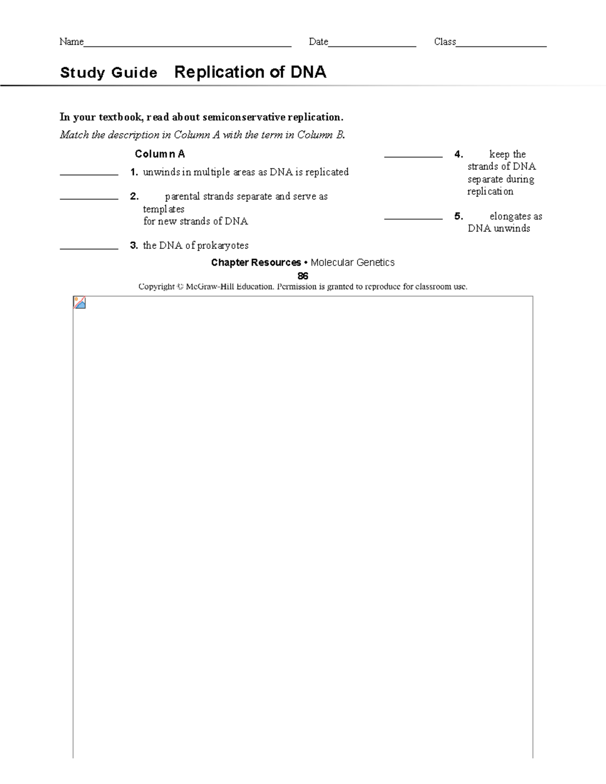Molecular Genetics Study Guide Replication of DNA - Study Guide ...