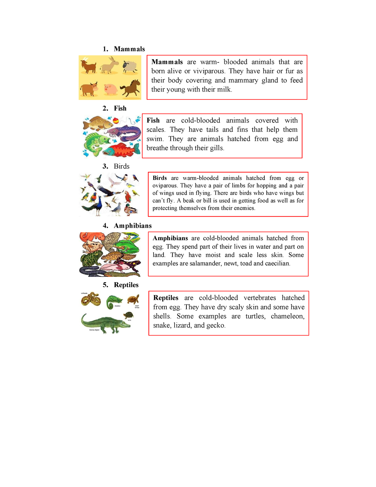 Tarpapel BESD BED - 1. Mammals 2. Fish 3. Birds 4. Amphibians 5