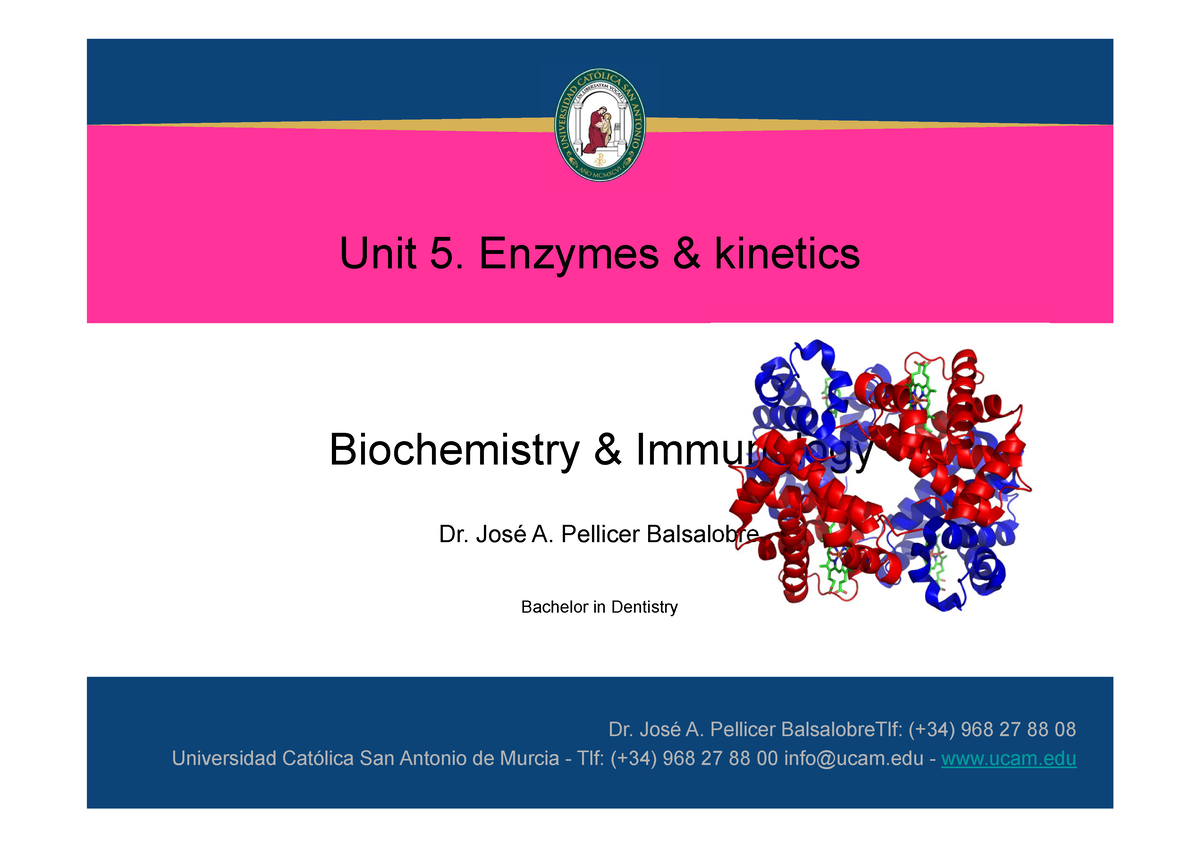 Unit 5. Enzymes And The Concept Of Them For Have All Information To ...