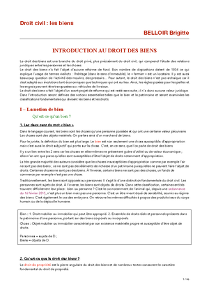 Droit Des Biens Cours Complet - Nnée Universitaire 2019- DROIT DES ...