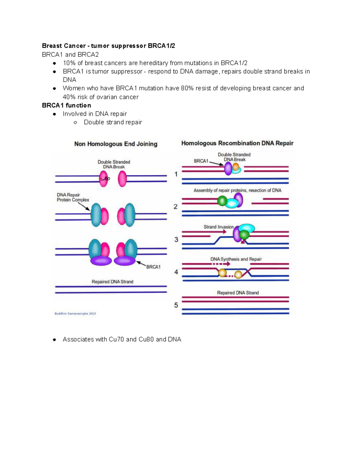 BRCA - BRCA - Breast Cancer - tumor suppressor BRCA1/ BRCA1 and BRCA 10 ...