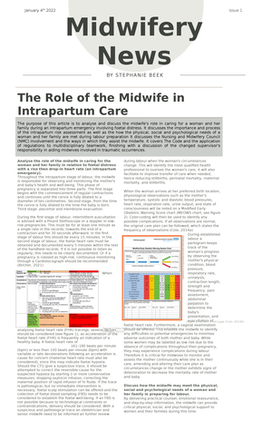 The role of the midwife in intrapartum care - THE ROLE OF THE MIDWIFE ...