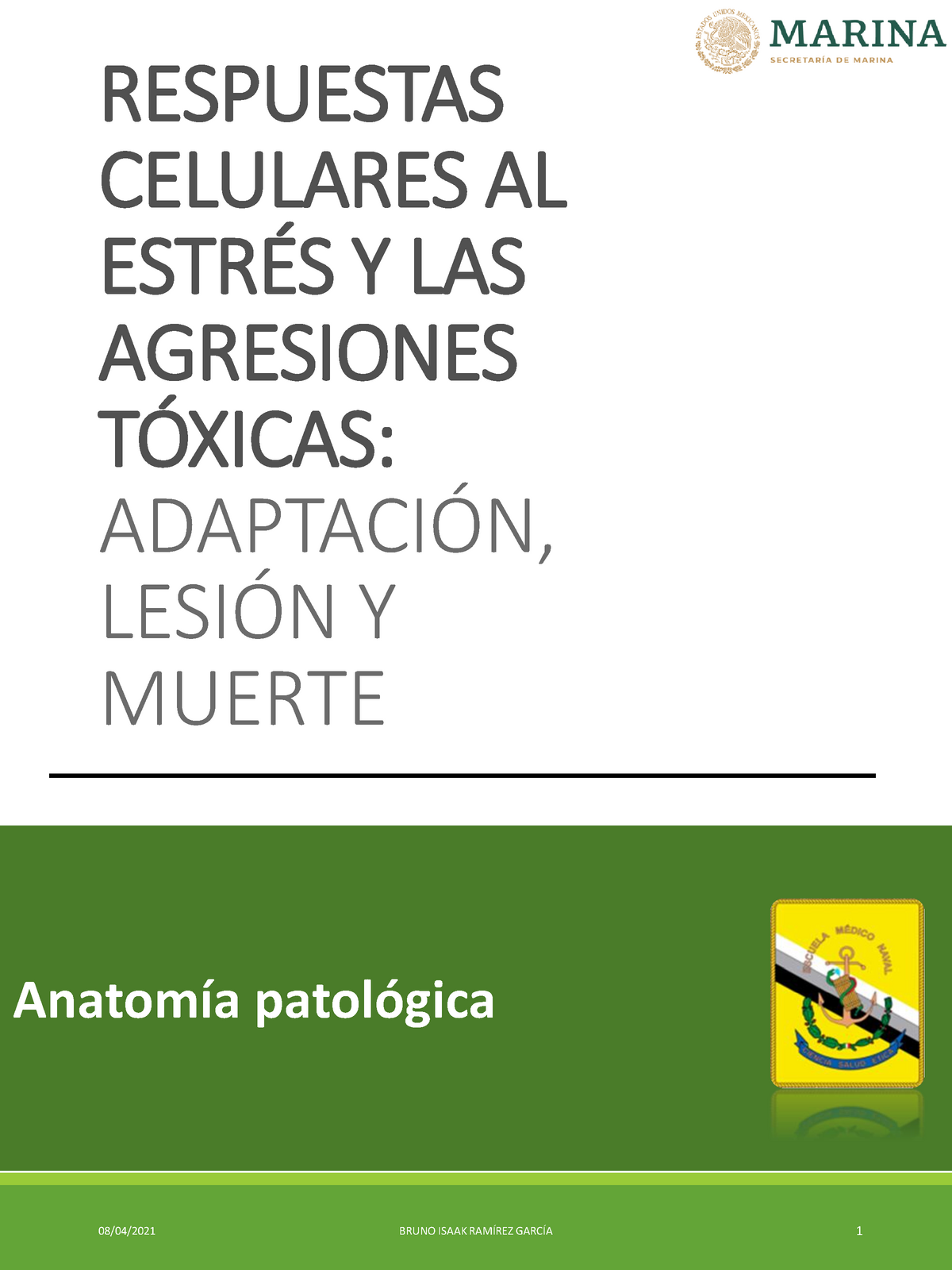 Respuestas Celulares AL Estrés Y LAS Agresiones Tóxicas ( Resúmen ...