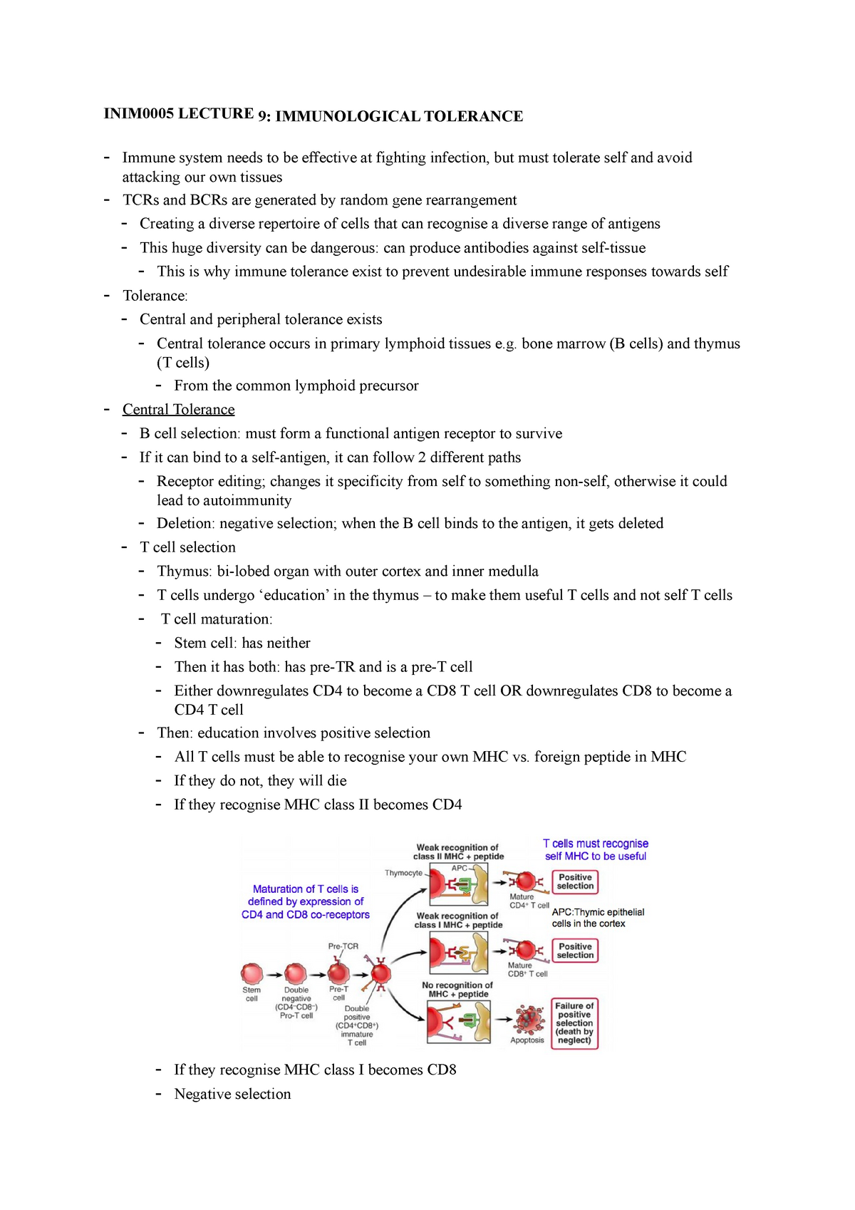 INIM0005 Lecture 9 - INIM0005 LECTURE 9: IMMUNOLOGICAL TOLERANCE ...