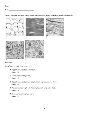 Chapter 17 The Digestive System (APHY 102) - Chapter 17: The Digestive ...