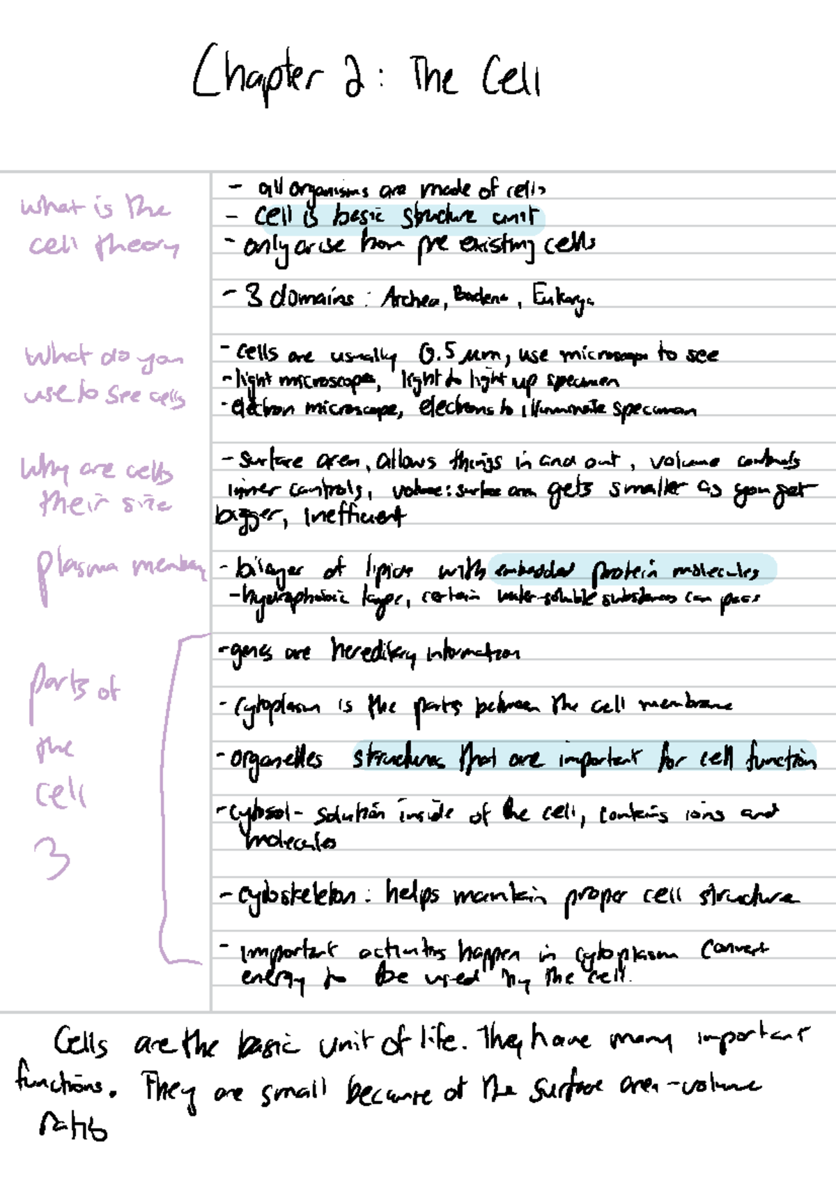 Chapter 2 Notes - Chapter 2 The Cell what is the all organisms are made ...