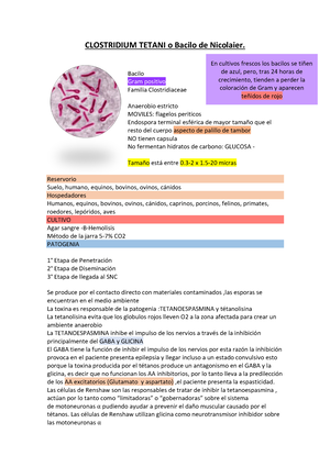 tinción de gram para clostridium tetani