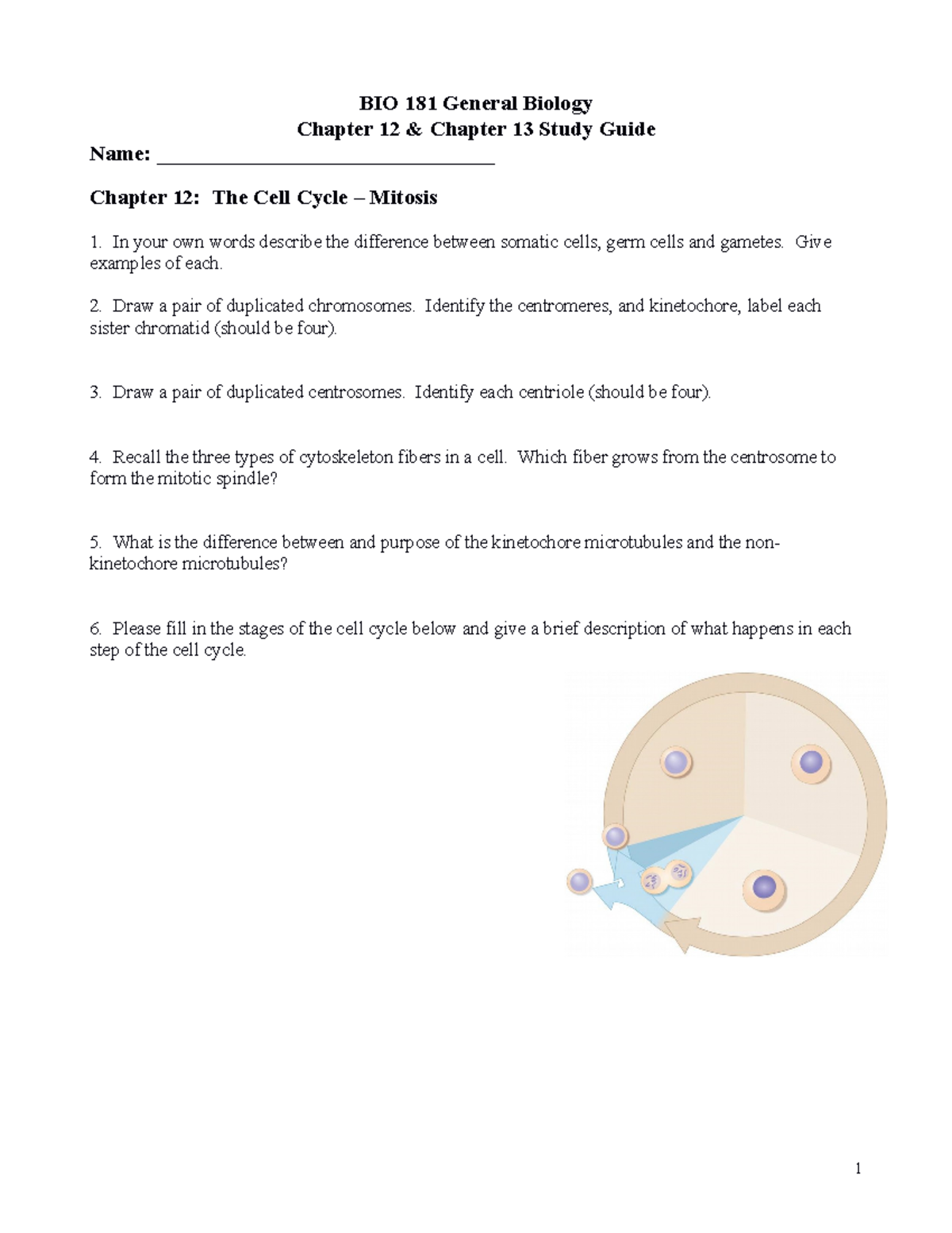 BIO 181 General Biology Chapter 12 Chapter 13 Study Guide - Studocu