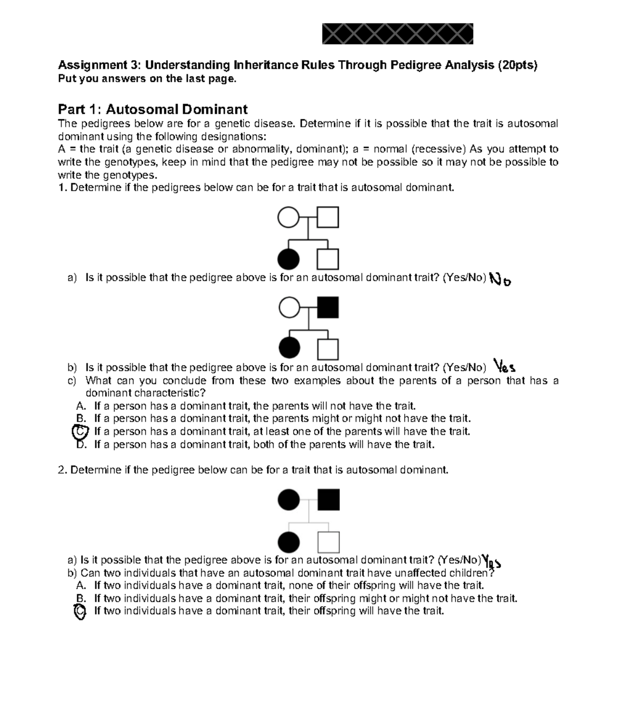 laws of inheritance assignment