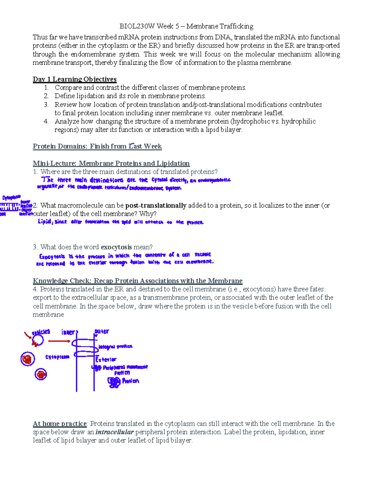 Week 5 Packet for bio - Thus far we have transcribed mRNA protein ...