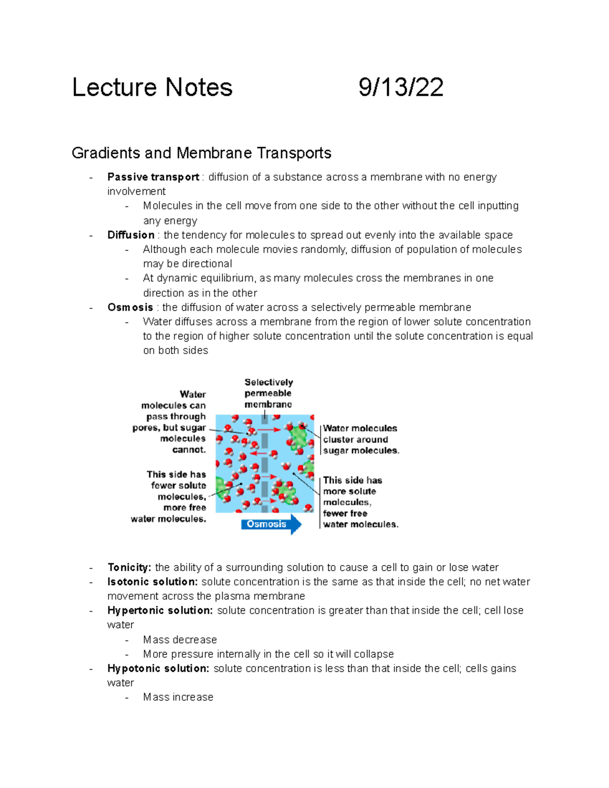 Gradients And Membranes - Lecture Notes 9/13/ Gradients And Membrane ...