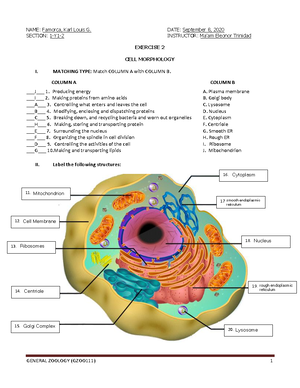 Exercise 3 - Cell Chemistry-Copy - GENERAL ZOOLOGY (GZOO111) 1 NAME ...