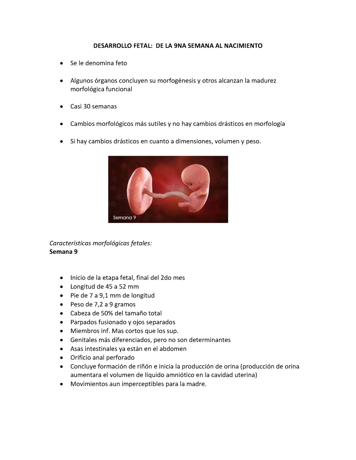 Desarrollo Martes 27 Septiembre Semana 4 Desarrollo Fetal De La 9na Semana Al Nacimiento Se 