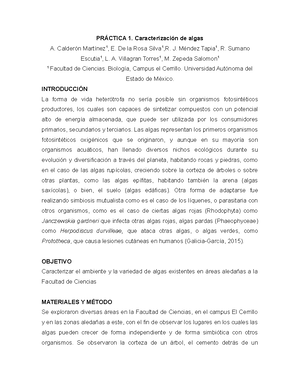 El documental Estaciones del mar - El documental "Planeta azul: 5- Las