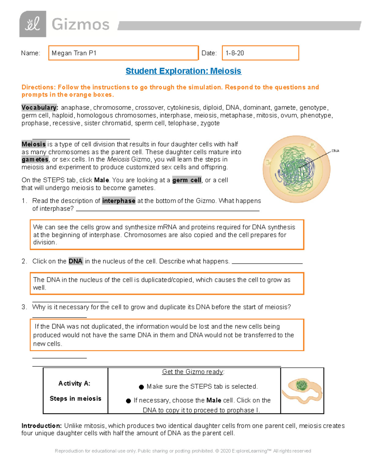 Meiosis Gizmos - Name: Megan Tran P1 Date: 1-8- Student Exploration ...