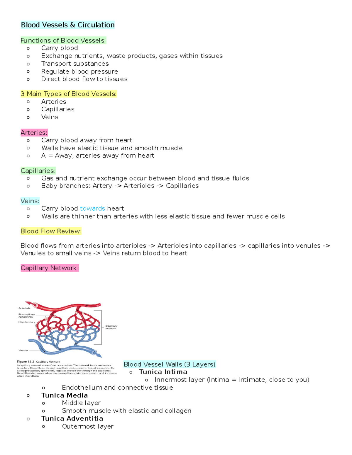 Anatomy Final review Blood Vessels & Circulation Functions of Blood
