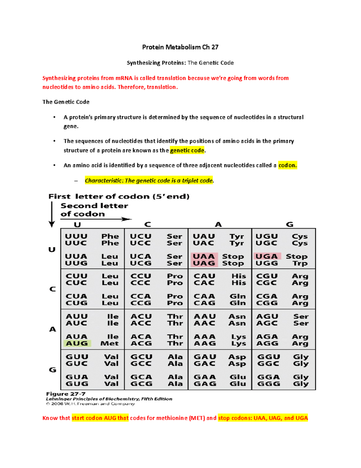 Protein Metabolism Chapter 27 - Protein Metabolism Ch 27 Synthesizing ...