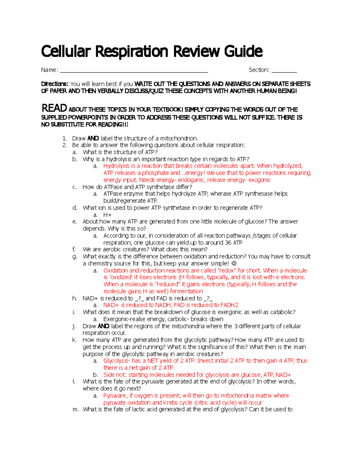 Cellular Respiration Review Guide - THERE IS NO SUBSTITUTE FOR READING ...