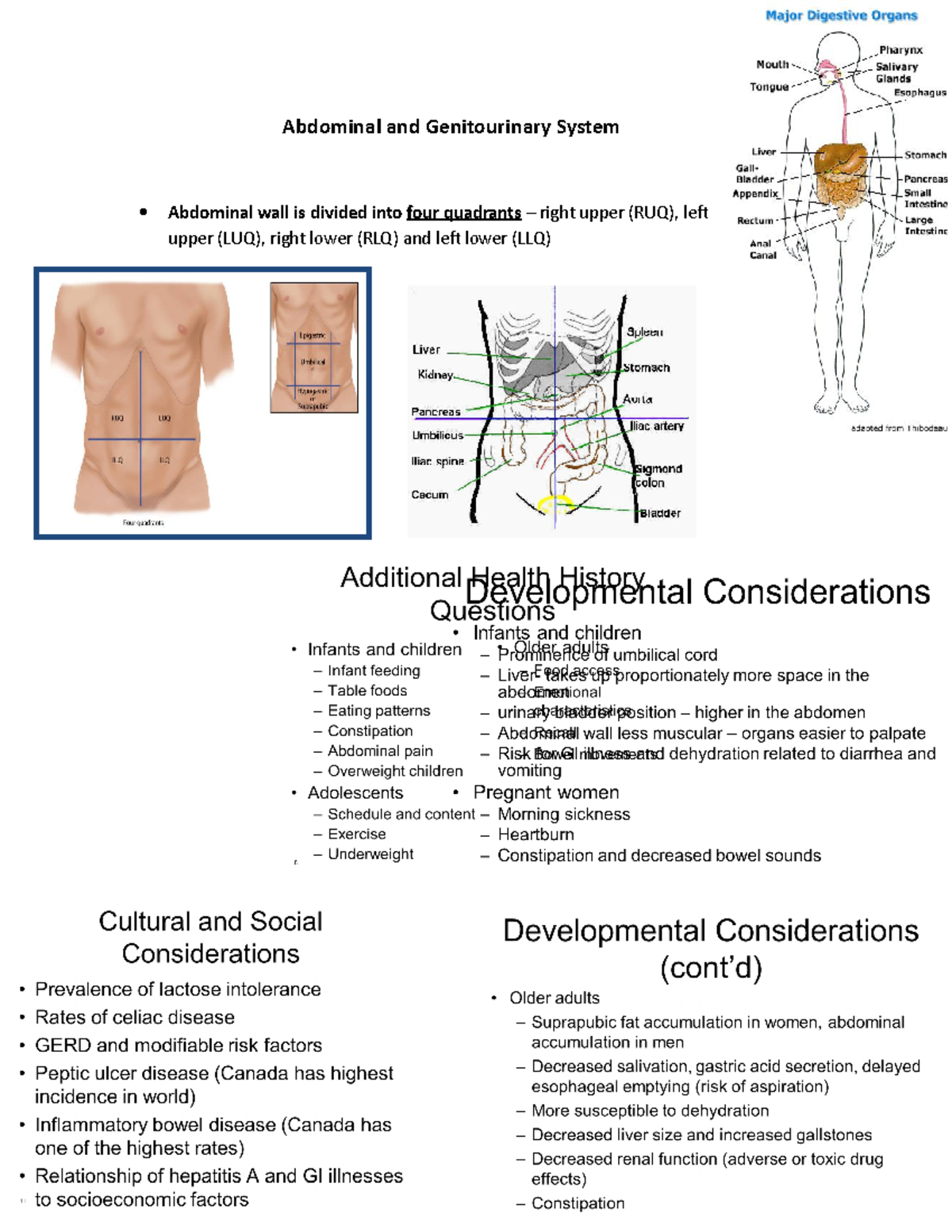 8 Abdominal and Genitourinary System - Abdominal and Genitourinary ...