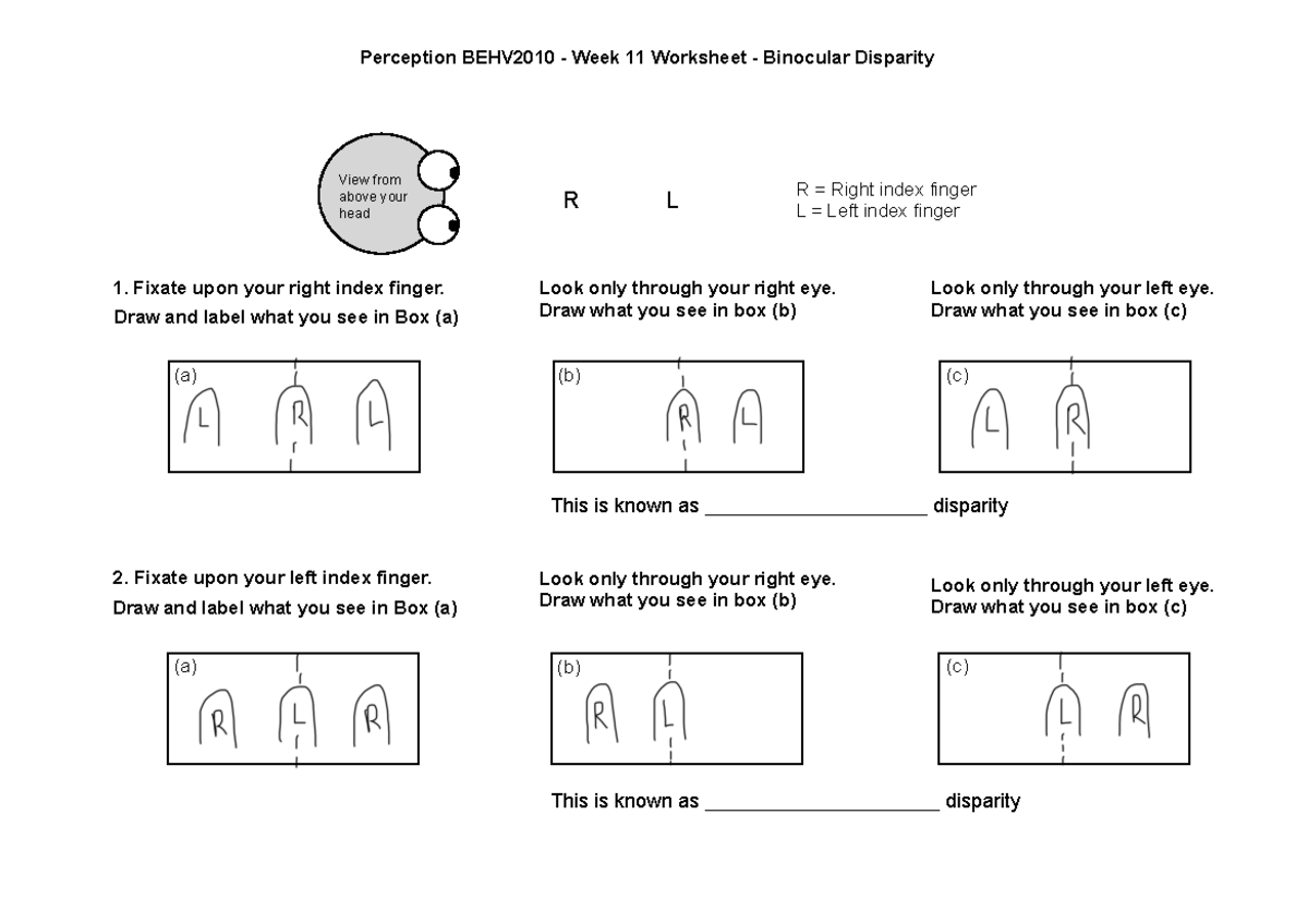 Week 11 Depth Perception stereopsis worksheet Perception BEHV2010 Week 11 Worksheet