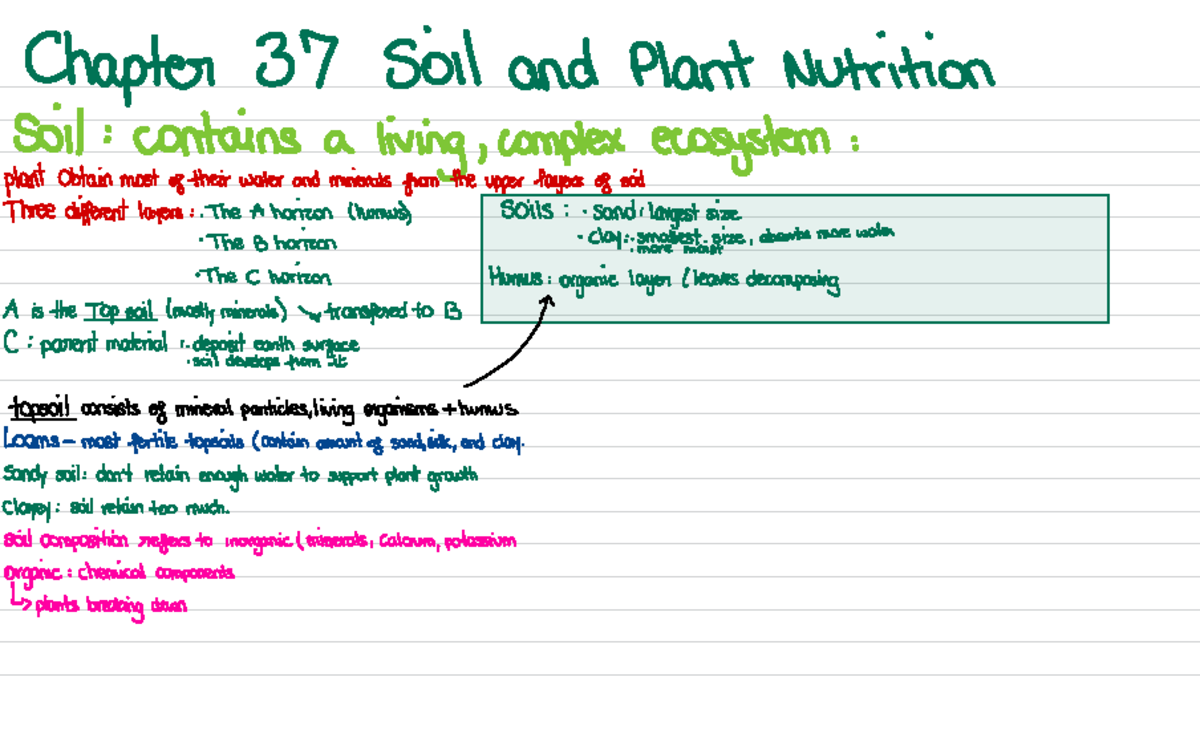 Midterm 2 - BIO 225 - Chapter 37 Soil and Plant Nutrition Soil ...
