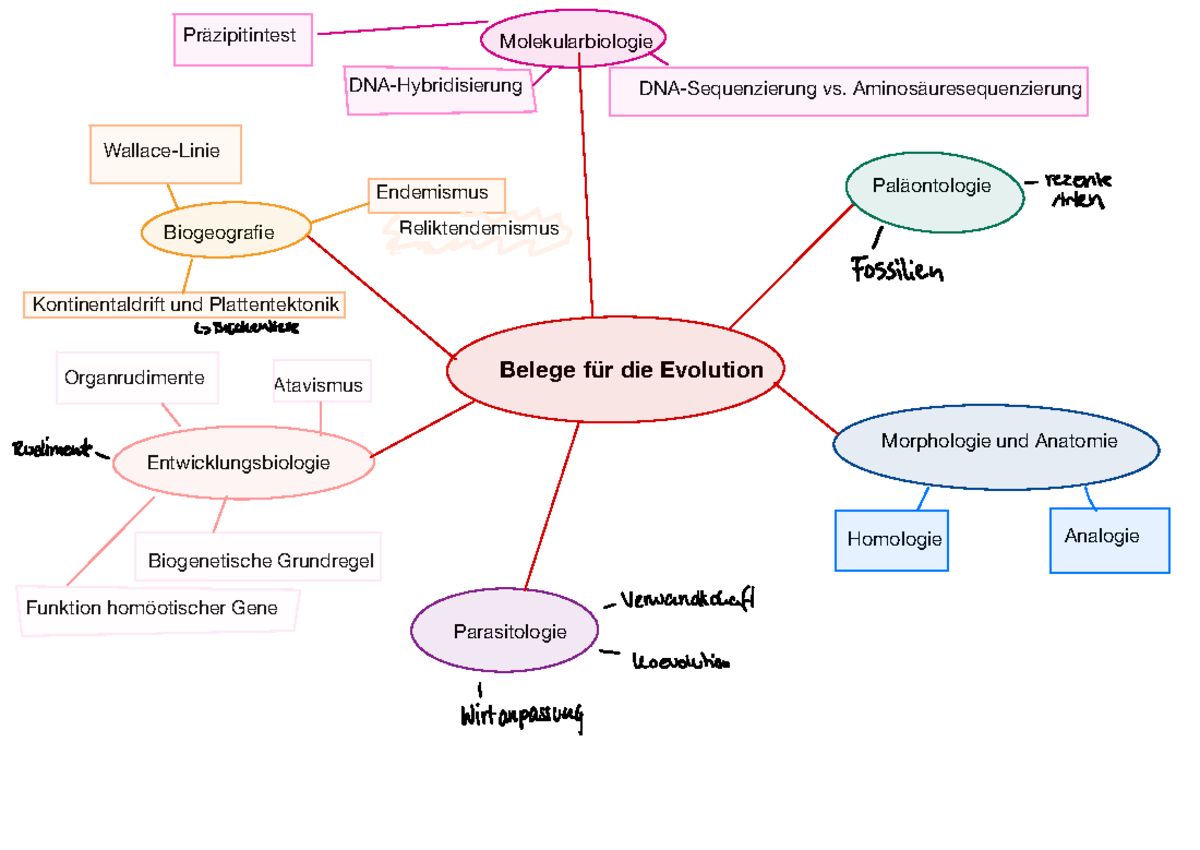 Belege Für Die Evolution Belege der Evolution - Belege für die Evolution Paläontologie