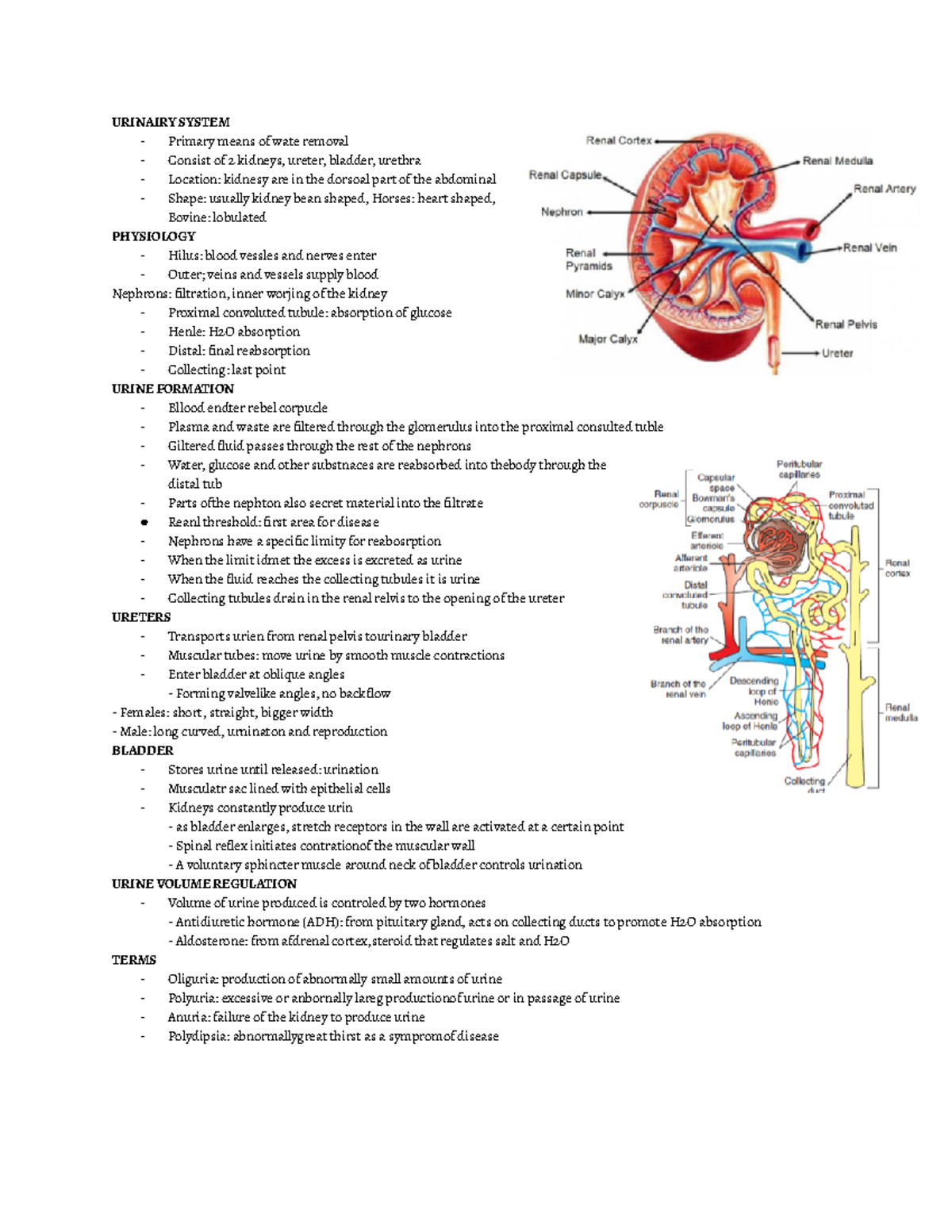 Urinalysis - URINAIRY SYSTEM Primary means of wate removal Consist of 2 ...