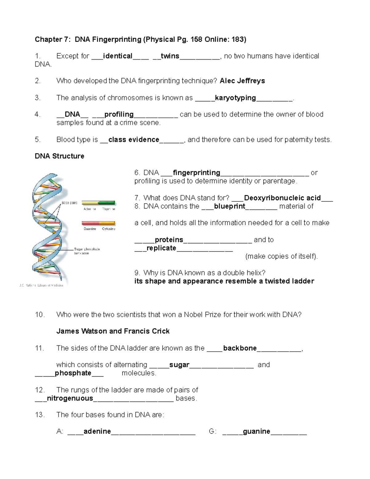 Brianna Collins - FS: DNA Chapter 7 - Chapter 7: DNA Fingerprinting ...