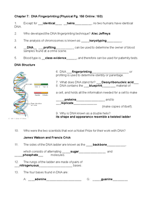 Brianna Collins - Weave Pattern Analysis - Name(s): Brianna Collins and ...