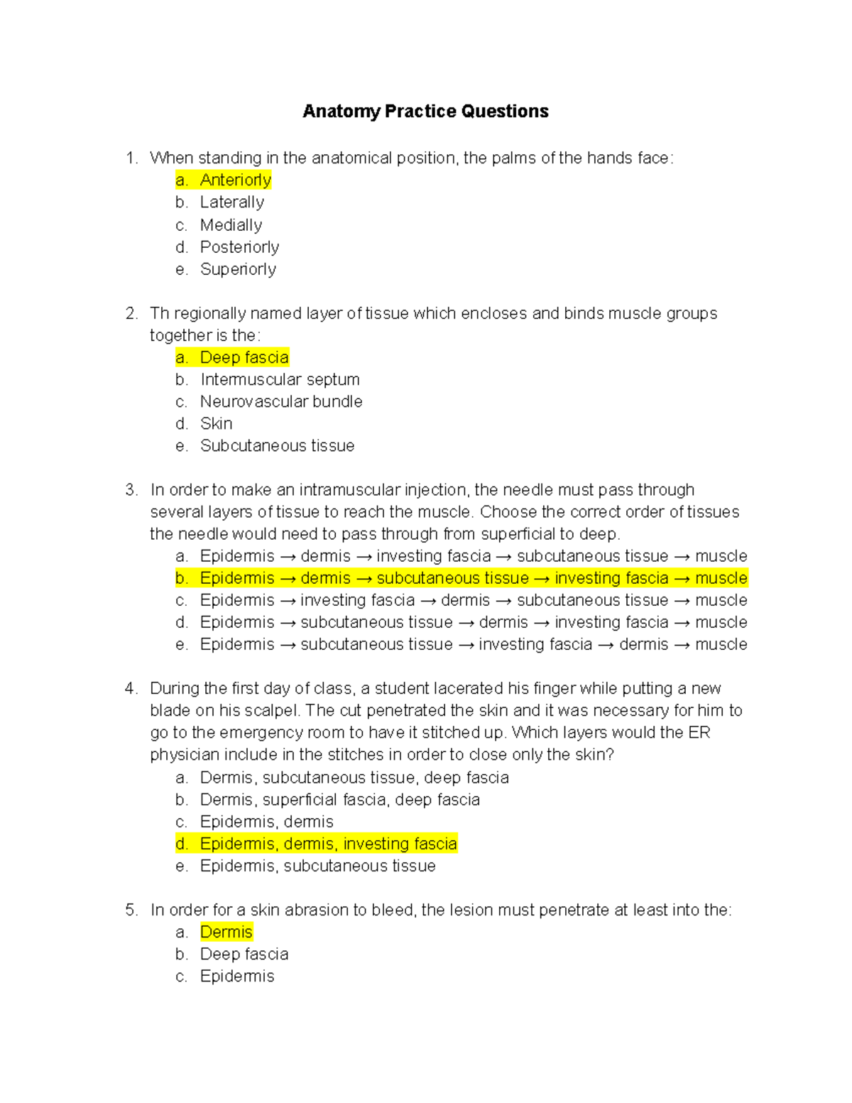 Anatomy questions Anatomy Practice Questions When standing in the