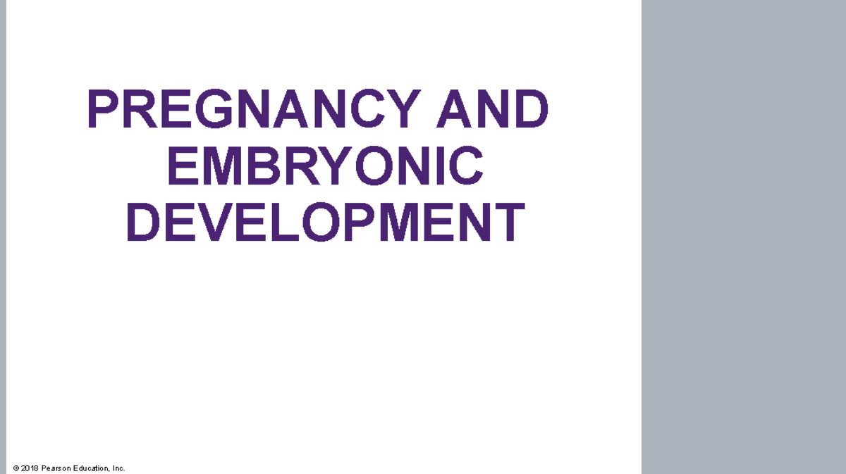 Functional Human Anatomy pregnancy and embryo - PREGNANCY AND EMBRYONIC ...