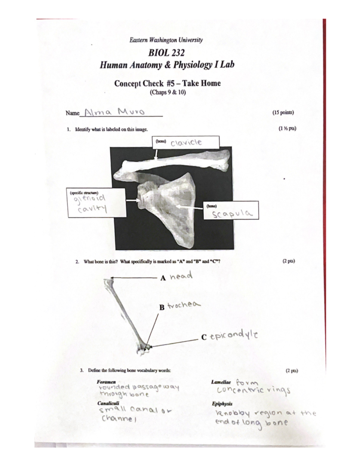 Concept check #5 - biology homework - BIOL 106 - Studocu