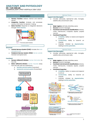 THE Digestive System - THE DIGESTIVE SYSTEM The digestive system (dis ...