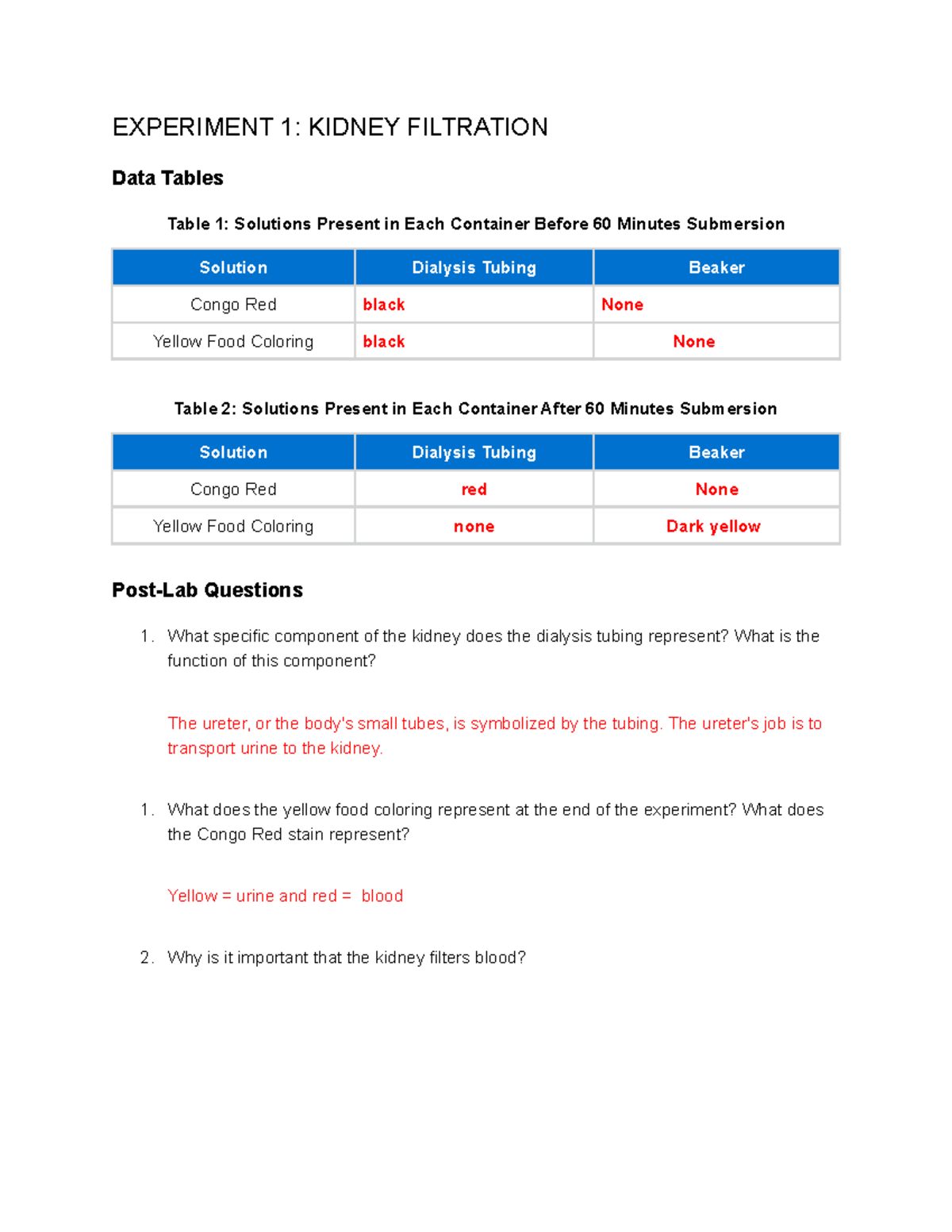 experiment 1 kidney filtration