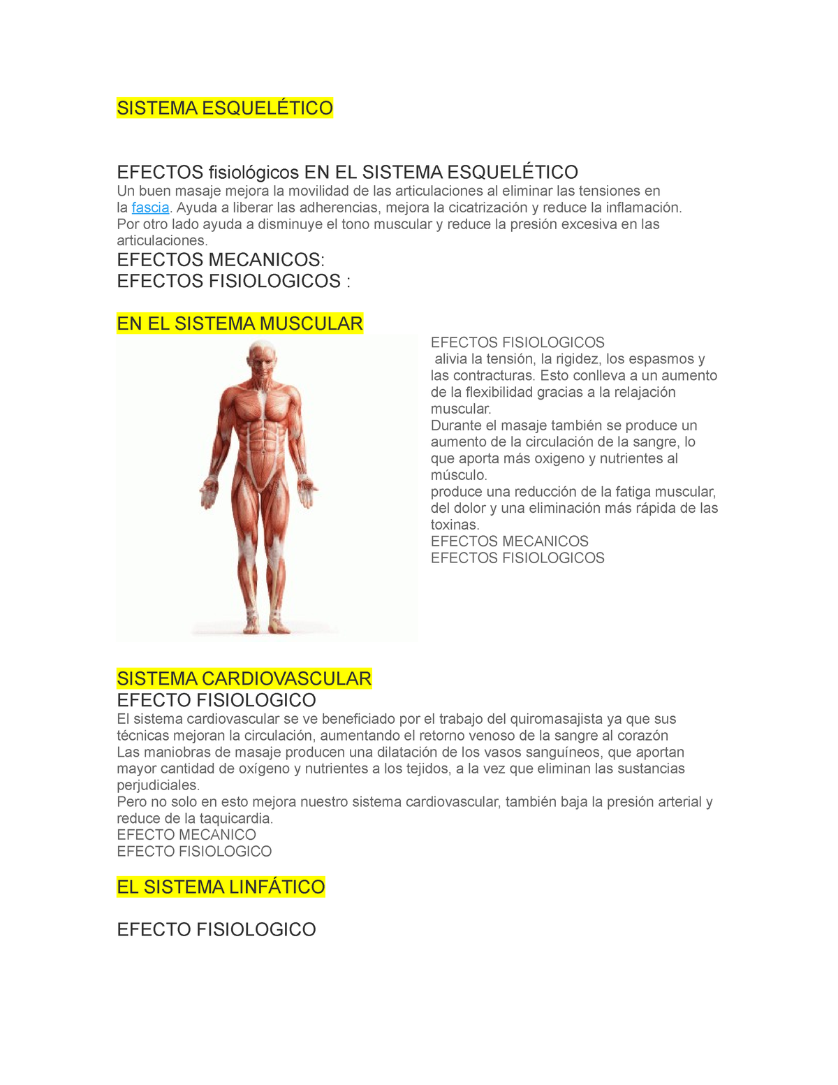 La masoterapia mejora la circulación y alivia el dolor muscular