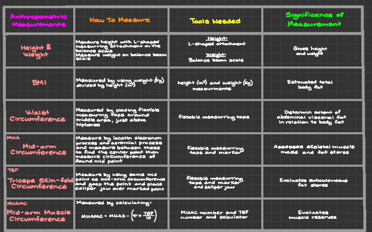 Anthropometric Measurements Review - Anthropometric How To Measure ...