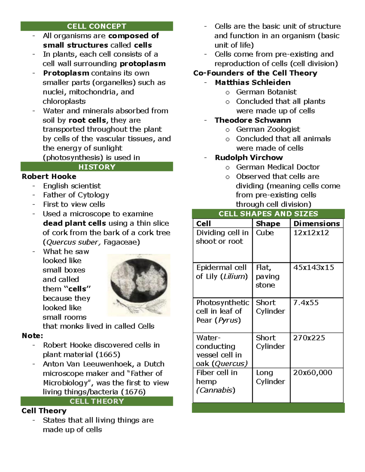 Handout 6 - Cell Concept - CELL CONCEPT All organisms are composed of ...