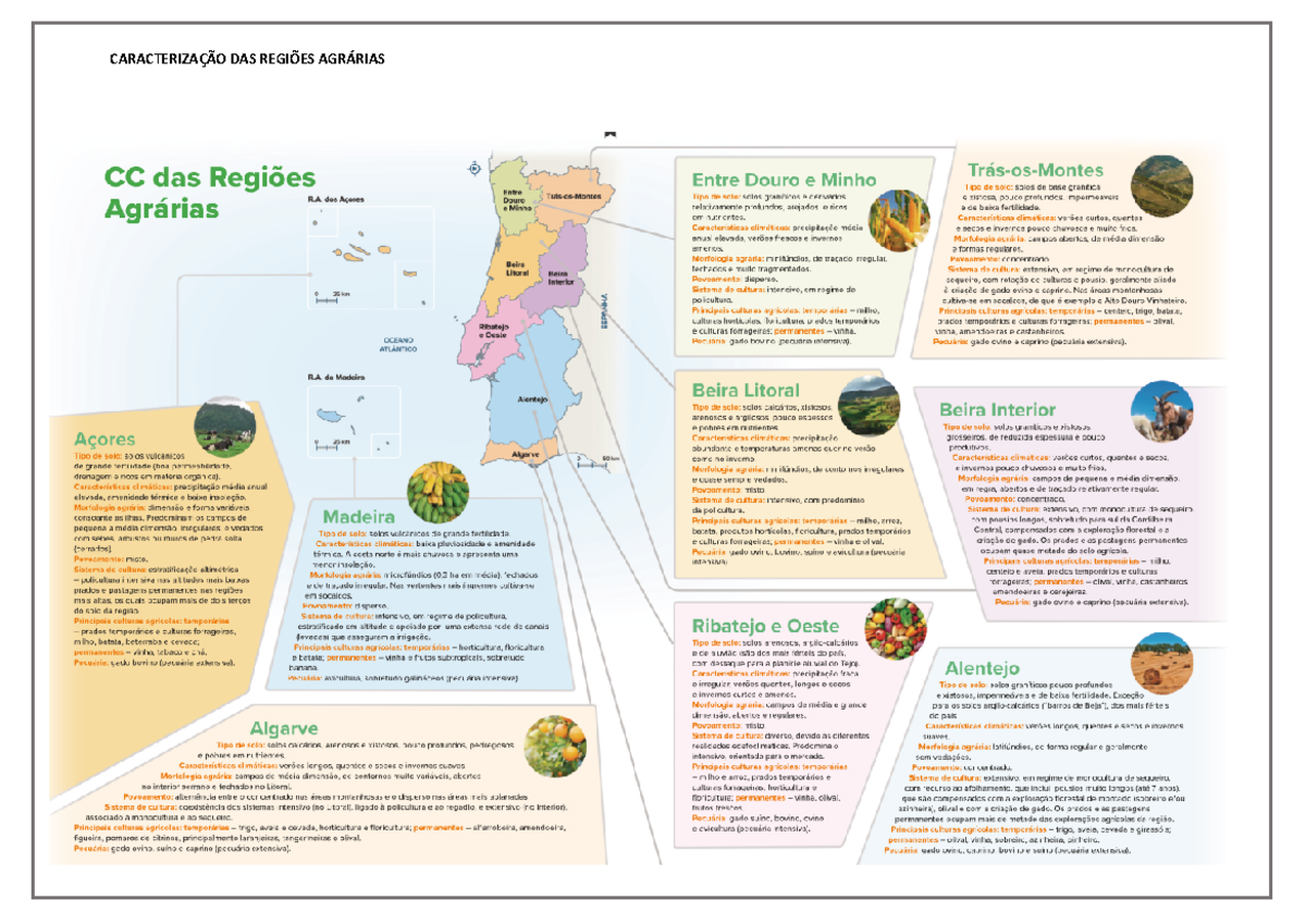 cc-regioes-agrarias-geografia-a-caracteriza-o-das-regi-es-agr-rias