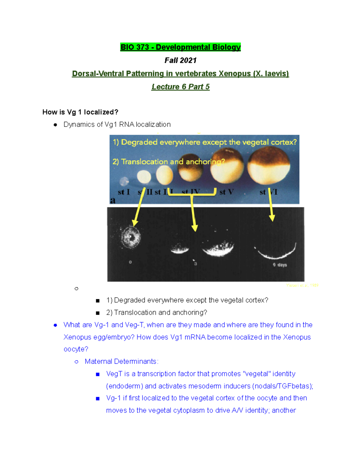 BIO 373 Lecture 6 Part 5 - Fall 2021 - BIO 373 - Studocu