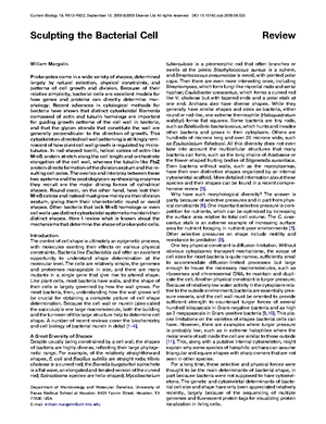 Robbins-pathology-notes - ROBBINS PATHOLOGY WWW.PATHGUY GENERAL ...