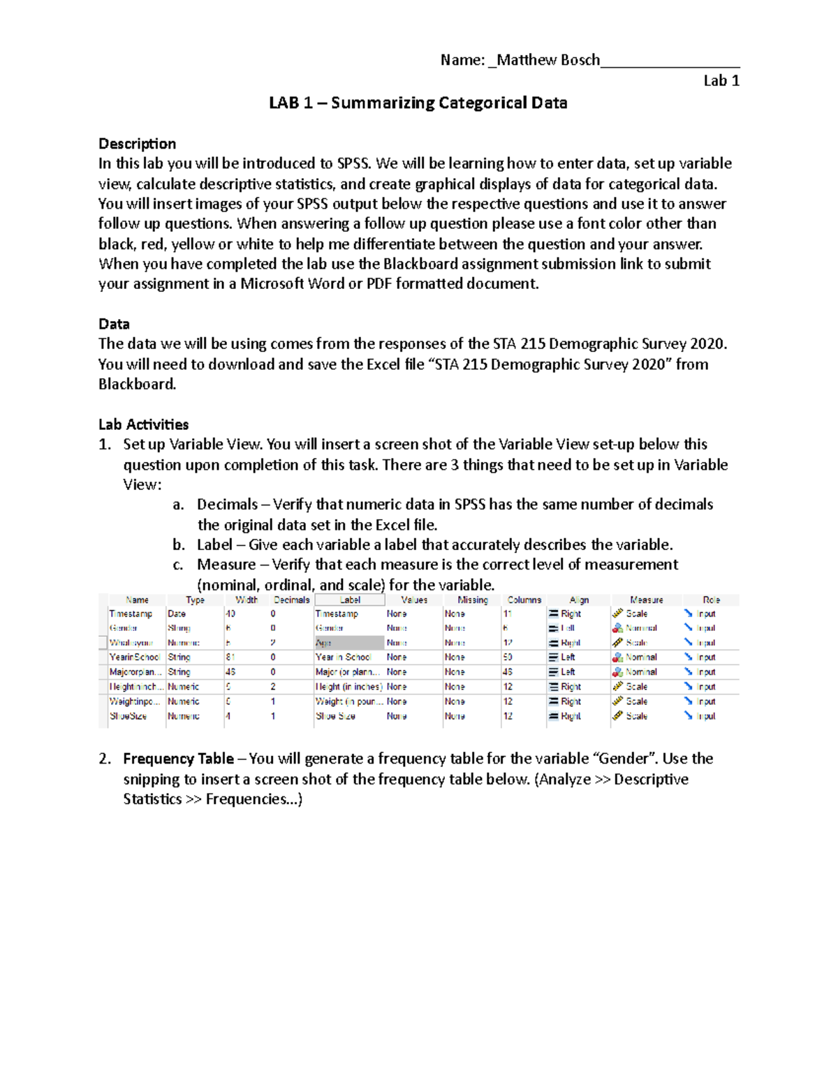 Lab 1 - Matt Bosch - SPSS Assignment 1 Lab - Lab 1 LAB 1 – Summarizing ...