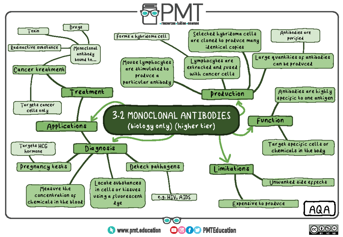 Mind Map 3 - mind map - Production Function Diagnosis Treatment ...