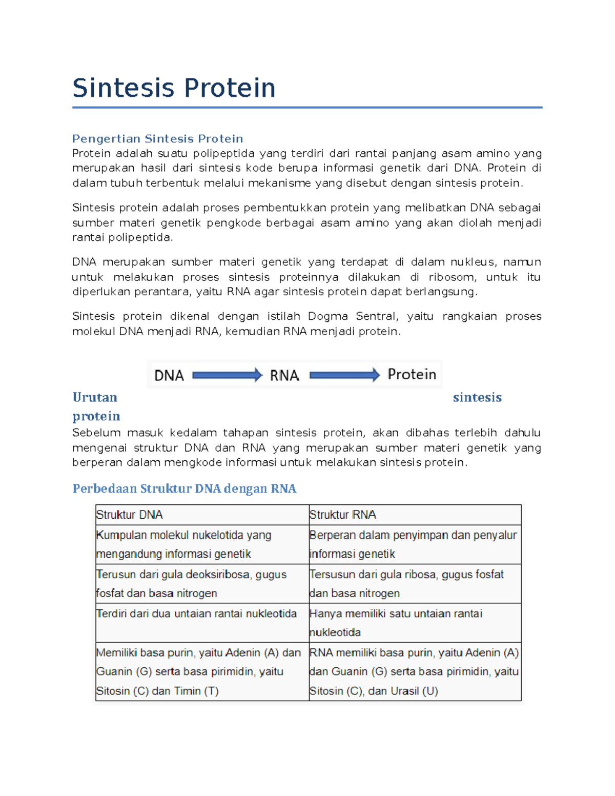 Sintesis Protein - Sintesis Protein Pengertian Sintesis Protein Protein ...