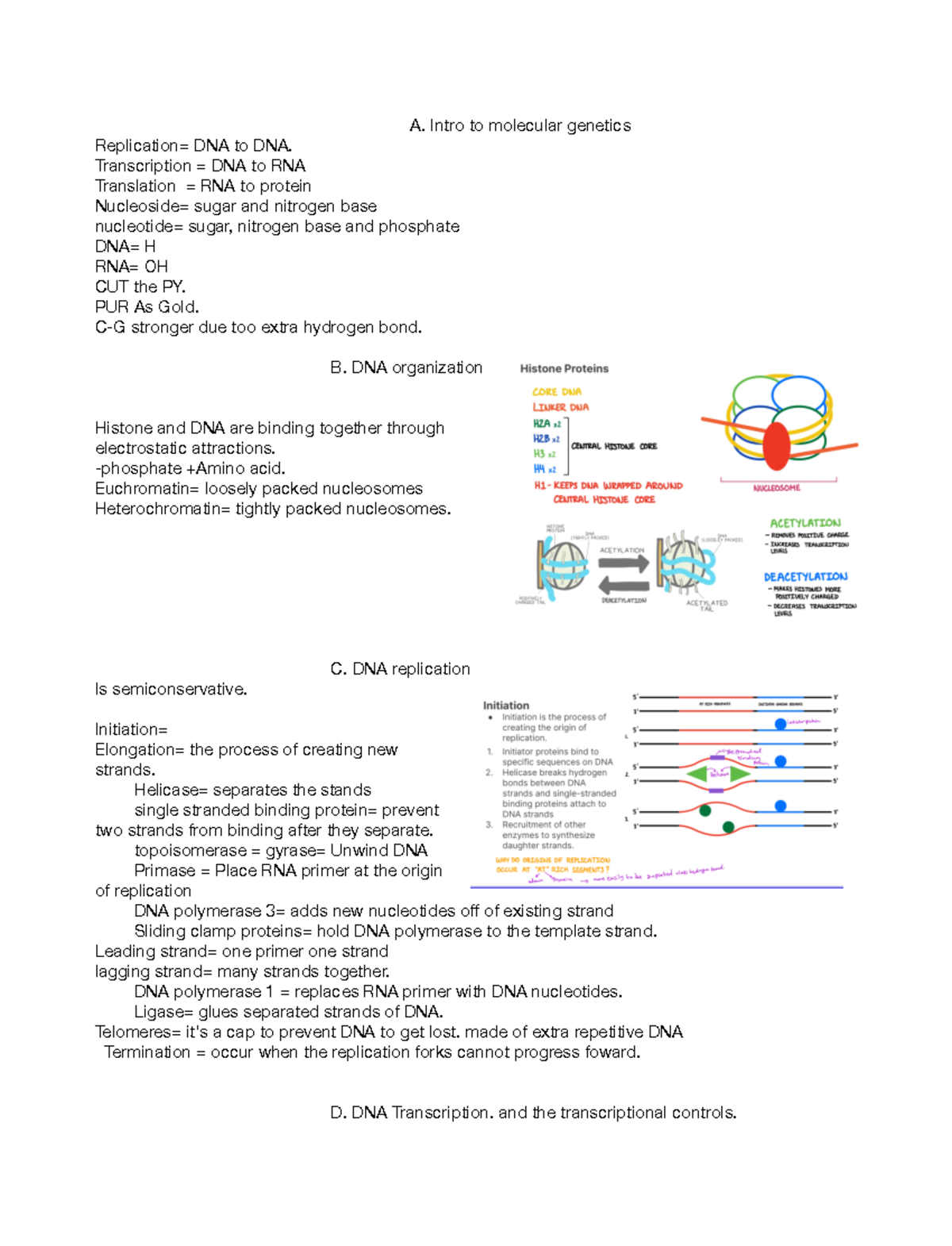 Chapter 6 notes - A. Intro to molecular genetics Replication= DNA to ...