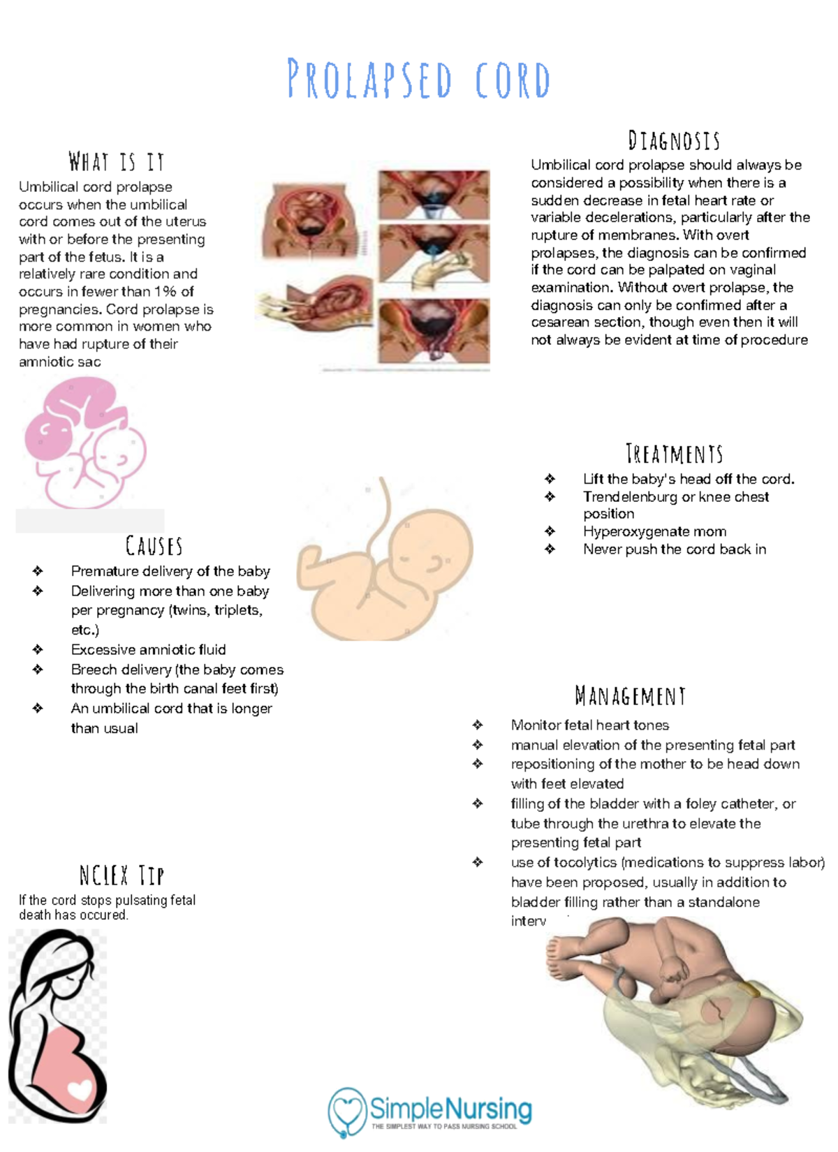 Prolapsed Cord Notes Prolapsed Cord What Is It Umbilical Cord